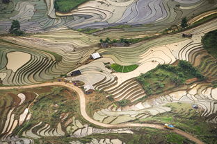 城乡失地保险去哪里领